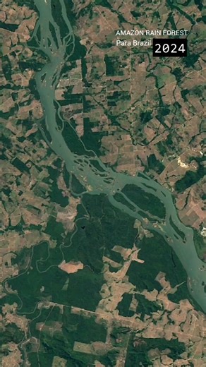 The Amazon is vanishing before our eyes—1.5 soccer fields lost every minute. Nearly 20% gone since the 1970s. What’s disappearing isn’t just trees—it’s biodiversity, indigenous lands, and Earth’s greatest carbon shield. [ amazon deforestation, amazon rainforest before and after, amazon forest satellite images, amazon river deforestation, amazon rainforest destruction, deforestation in brazil, amazon forest loss, amazon environmental crisis, satellite view amazon, deforestation climate change, am