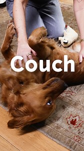 2K views · 376 reactions | Show their joints some love & get 50% off...