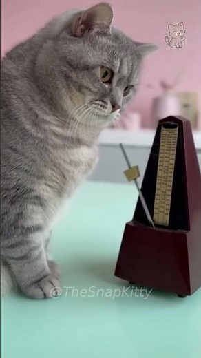 Cat STOPS Metronome After Perfect Sync Then Judges You 😾