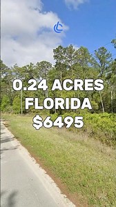 0.24 Acres with road access for Sale in Satsuma Florida for $6,495 #land #property #investing