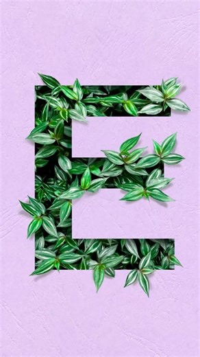 I gave the letter E a glow up in Procreate 🌿