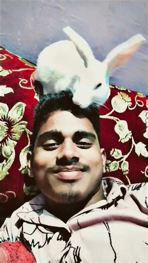 My rabbit is giving me a massage🐇🥕
