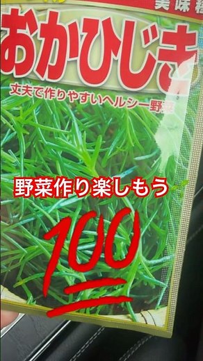 おかひじき芽出しから苗移植まで！