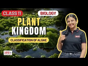 Plant Kingdom Class 11 Classification of Algae | Easy & Detailed Explanation! 100 Plus Academy