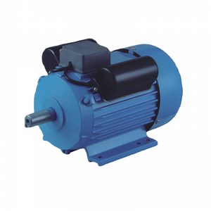 [Hot Item] Yld Series Single-Phase Dual-Speed Asynchronous Motor - Pole-Changing Design