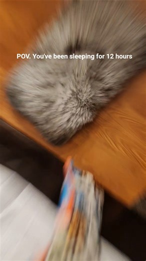 POV. You've been sleeping for 12 hours