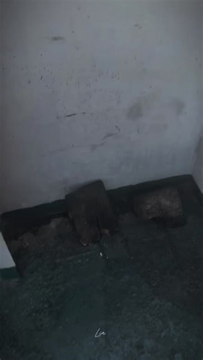 Understanding the TikTok Algorithm: Tips for Boosting Engagement