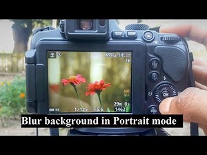 How to blur background in Portrait mode Photography for beginner nikon coolpix B700 P900 Tutorial
