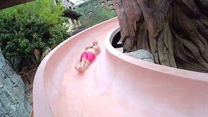 4.2K reactions · 468 shares | Staying at Disney's Grand Californian Hotel & Spa? Go for a dip in the crystal-clear Redwood Pool, home to a gurgling waterslide that curves around the stump of a giant redwood tree! | Disneyland | Facebook