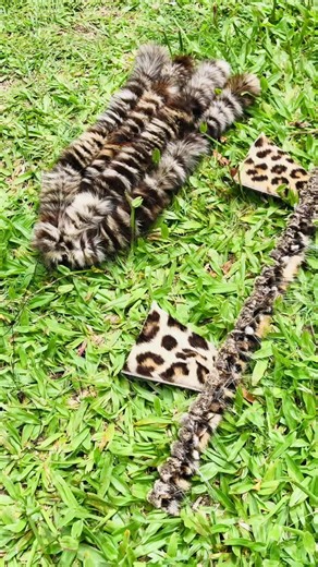 Umqhele #endlunkulumvunulotrading #imvunulo #ebuhlenibamanazaretha #sama28 @Mehlenkomo @Endlunkulu mvunulo trading🐆 @Mbatha onezinto zakhe