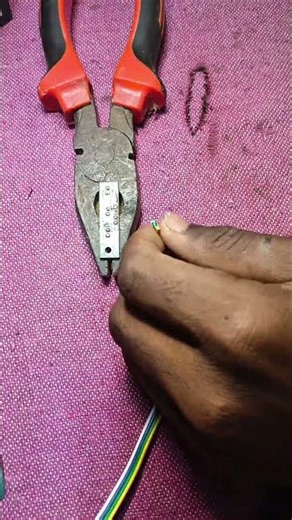 3 Color LED Test ⚡ | Red Green Blue Light DIY