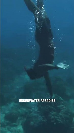 Dive into Fiji’s “underwater paradise” 🤿 @Corona #ThisisLiving