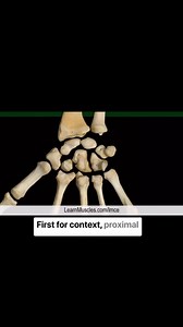 137 reactions · 31 shares |  LearnMuscles.com ...