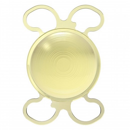 FINEVISION (MICRO F) - BVI Medical International