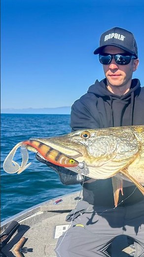 Comment réaliser un montage 360° pour la pêche du brochet au leurre souple ?