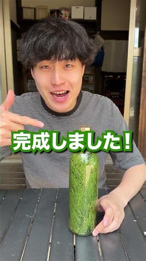 松の葉で作れる！？天然のスプライトが衝撃的な結末に…。