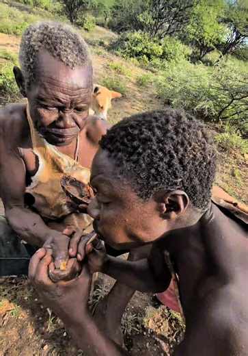 The tribal old man went out hunting hard and cooked food, but Chaaba still wanted to compete with the old man for food#hadzabetribe #foryoupage #cooking #chaaba #funny