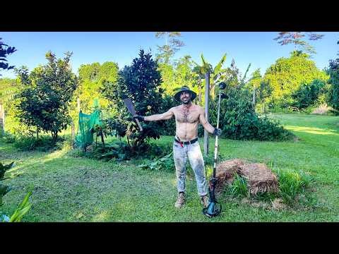 The Journey to Growing our Own Food (5 years Later)