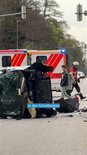 🐜 💥 Eine Super-Ameise bedroht unsere Infrastruktur? #shorts #niedersachsen #nachrichten #tiere