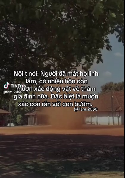 #tamtrang #xuhuong #her #foryoupage