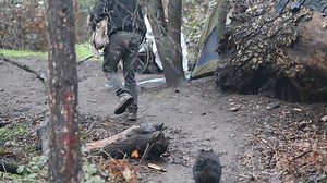 Here's why Redding, not Shasta County, will take lead on a California homeless program