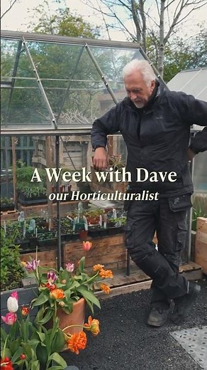 A Week in the Garden with Dave 🌱