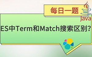每日一题281【ES】：ES 中 Term 和 Match 搜索有什么区别？_哔哩哔哩_bilibili