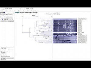 How to Create Dendrograms/Phylogenetic Trees in PFGE/SDS-PAGE/Western Blot