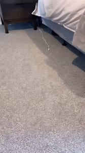 1.6K views · 22 reactions | Mouse Trap Prank  #couplecomedy @Jojo Legg | Aelis Comedy | Facebook