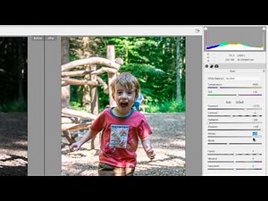 Photoshop Elements 15, Develop RAW files