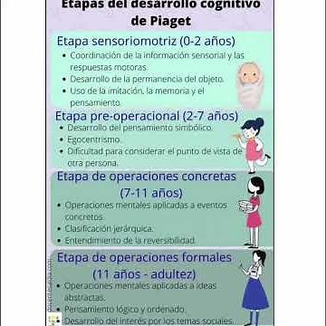 👉Las 4 etapas del desarrollo cognitivo: Jean Piaget 🎯
