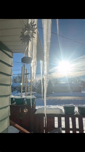 A Snowy Day @ Schulte’s Greenhouses located in Pewaukee Wisconsin | Schulte's MicroFarm Greenhouses and Fun Center Pewaukee