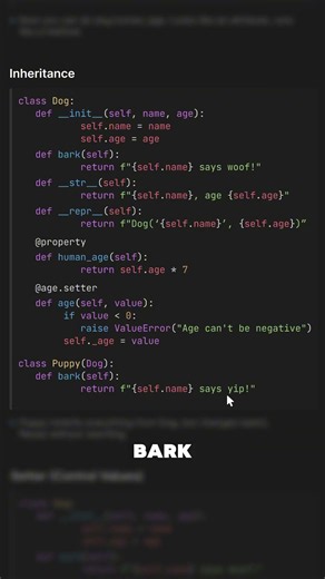 Inheritance in Python - reuse without rewriting #python #codingtips #cleancode #learnpython #code