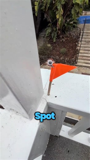 This Home Inspector Is on Another Level 😮