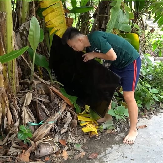 I turn TV into a solar panel #shorts | Jennifer Williams