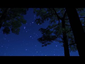 Crickets & Owl Under the Starry Night | Relaxing Nature Ambience for Sleep & Relaxation | 10 Hours