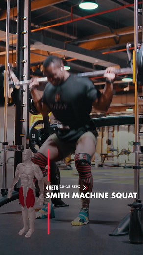 Smith Machine Squat Exercise Guide: Target Muscles, Setup, Execution & Tips