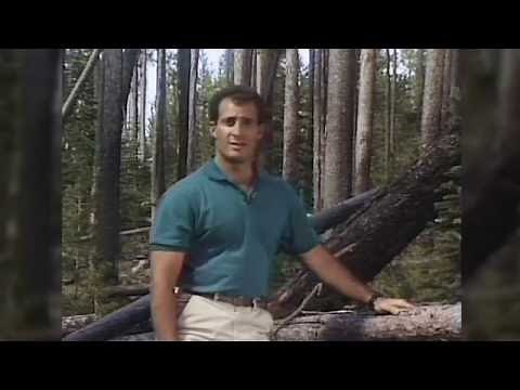 Classic Cantore Moments From the Past 30 Years #cantore30