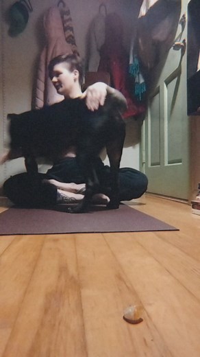 Two pups for yoga tonight. Sully needed some extra love and support and Colleen got jealous. Sweet babes. Gentle reminder: It is always okay to rest. Take all the time you need. Every moment is just as it should be. It's okay to need extra support. Take all the hugs you can get. Every thing is as it should be. ❤️ #dogsofinstagram #lovingkindness #practiceandalliscoming #yogapractice #bekindtoyourself #healingjourney #traumaawareness #somaticcoaching #moveyourbody #fridayfeels #fullmoonvibes #bod