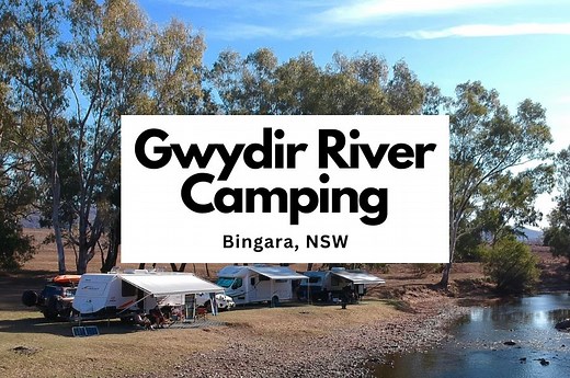 ⛺️ Gwydir Riverside FREE Camping, Bingara NSW |