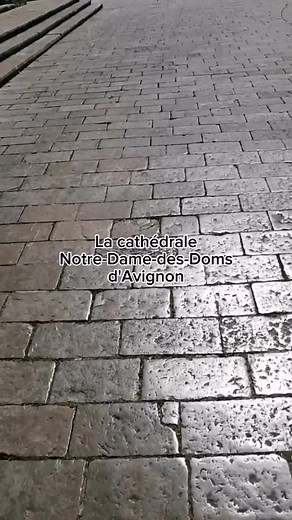 Cathédrale n°2 ! Avignon Surtout connu pour son Palais des Papes, Avignon possède aussi une magnifique cathédrale, appelée la Métropole, dont l'architecture est un mélange de tout ce que l'Histoire lui a fait traverser. Vous la connaissiez ? #découvertes #découverte #aventure #patrimoinefrancais #patrimoine #randonnée #provence #cathedrale #cathedralenotredame #voyage #avignon