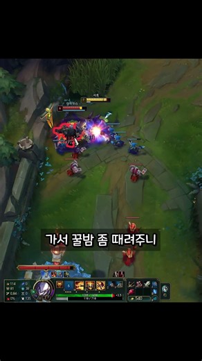 도란의 활 세트