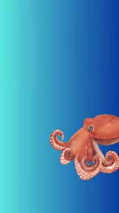 11 reactions · 6 comments |  Dive into this Meet Me Monday with another incredible Unknown Wonder of the Oklahoma Aquarium  Let's hear more about this class clown! | Oklahoma Aquarium | Facebook