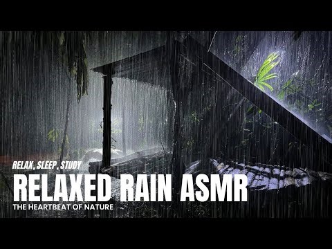 ASMR Rain and Thunder | Listen, Relax and Sleep | Rain ASMR for Sleeping and Relaxing