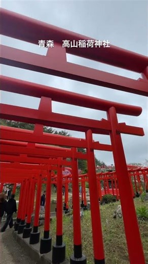 ＃津軽三味線＃青森＃高山稲荷神社