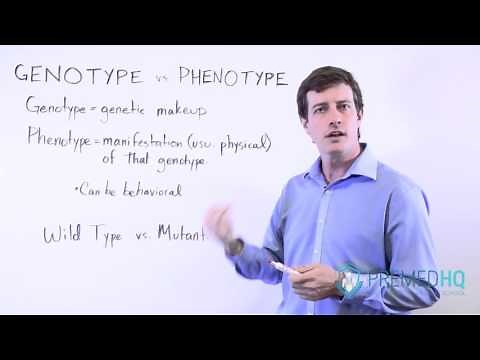Genotype vs Phenotype