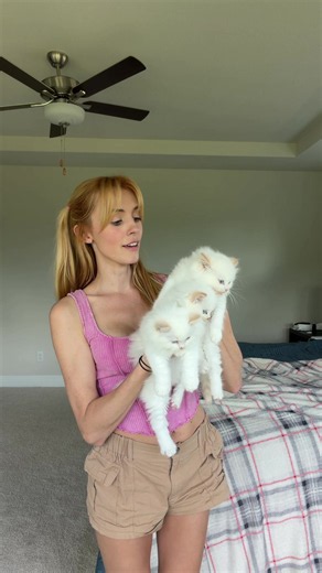 The V litter attempt the Ragdoll test | cat litter