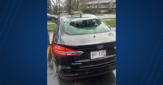 Madison police: Fleet of squad cars damaged by storms