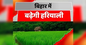 बिहार के पहाड़ों पर हरियाली लाने की पहल, सीड बॉल के जरिए वृक्षारोपण कार्यक्रम शुरू