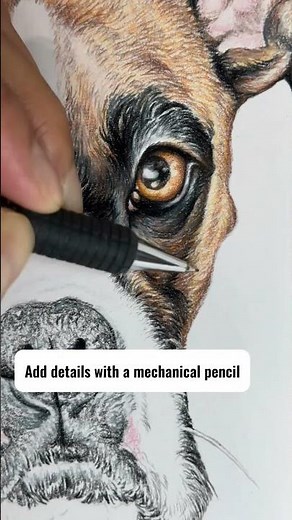 #howtodrawdogs #dogboxer #drawingtutorial #howtodraweyes #cuteboxerdog #howtodraw